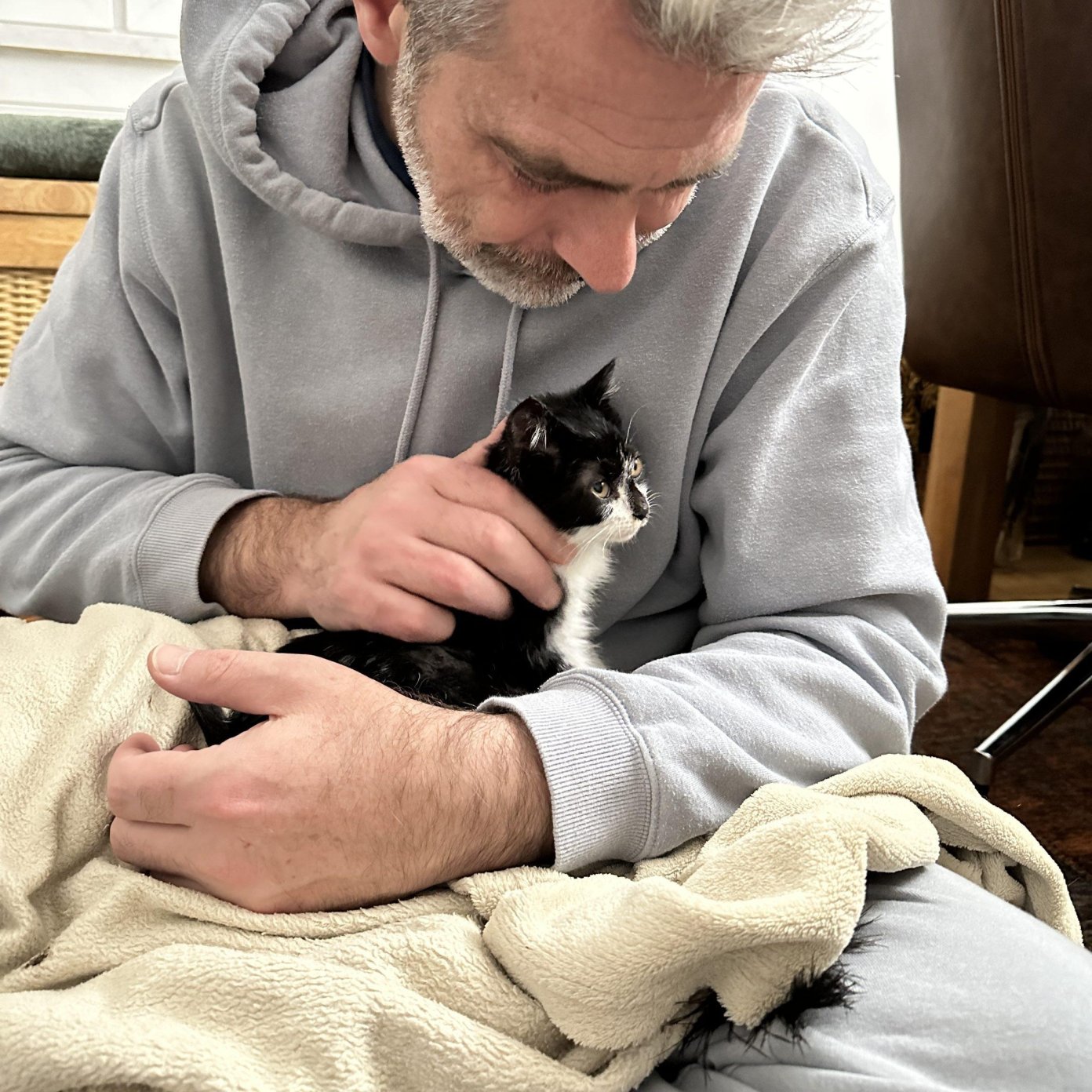 Marco Markl hält das schwarz-weiße Fundkitten Toffi im Arm, eingewickelt in eine Decke